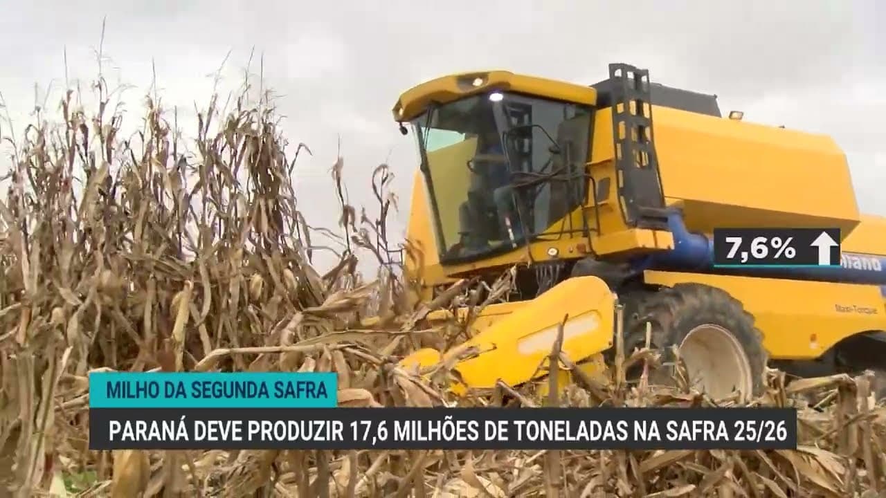 Colheita do milho safrinha se inicia no Paraná com alta expectativa