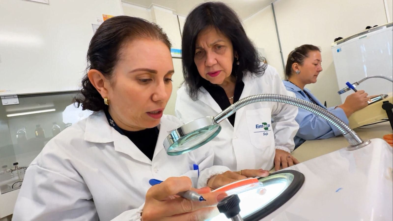 Dra. Mariângela Hungria Defende Soberania Alimentar no Giro do Boi