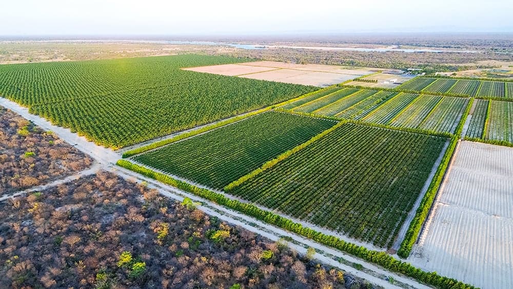 Barra AgroShow 2026: Uma Nova Oportunidade para o Agro no Médio São Francisco