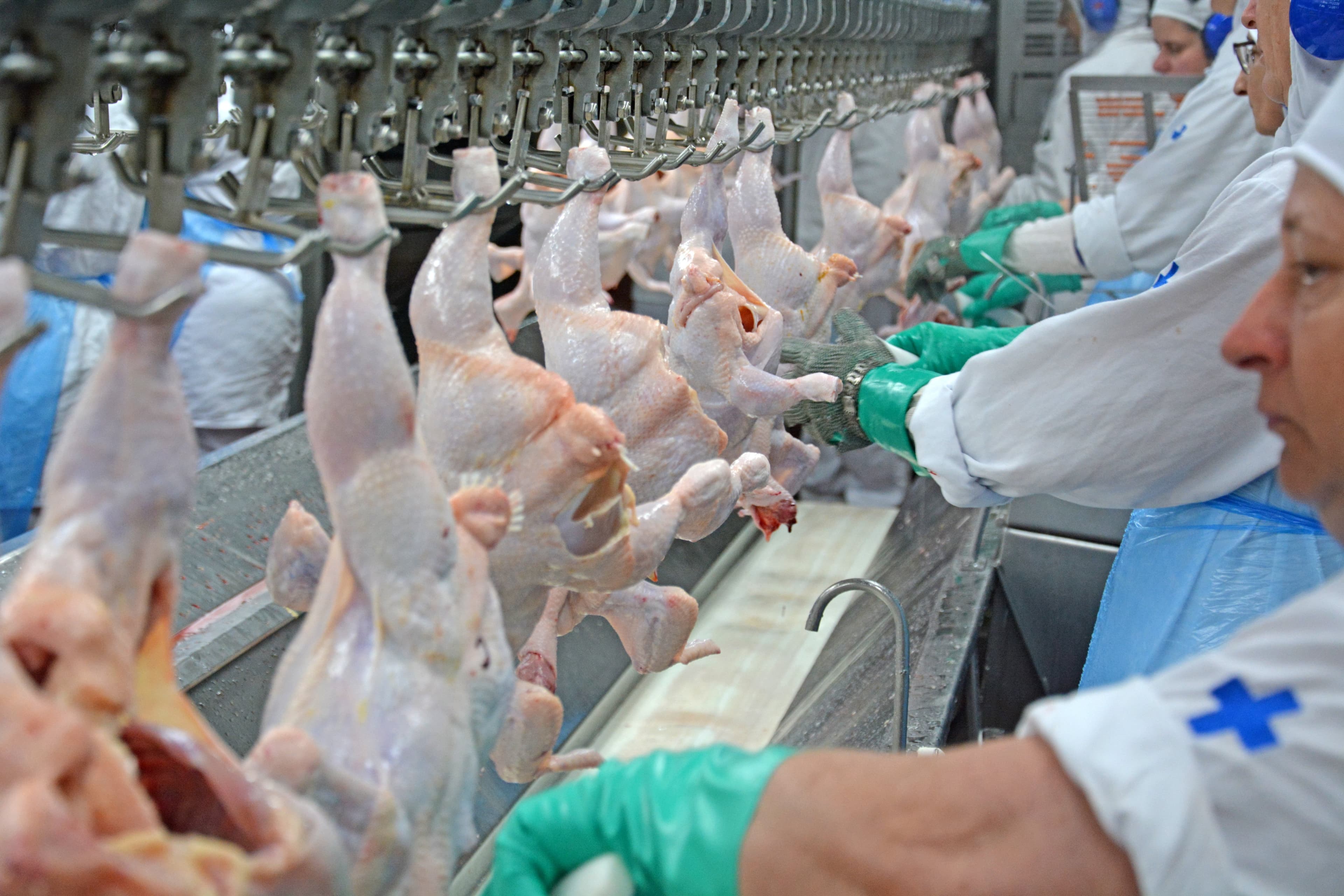 Redução da jornada de trabalho pode afetar produção de carnes e ovos