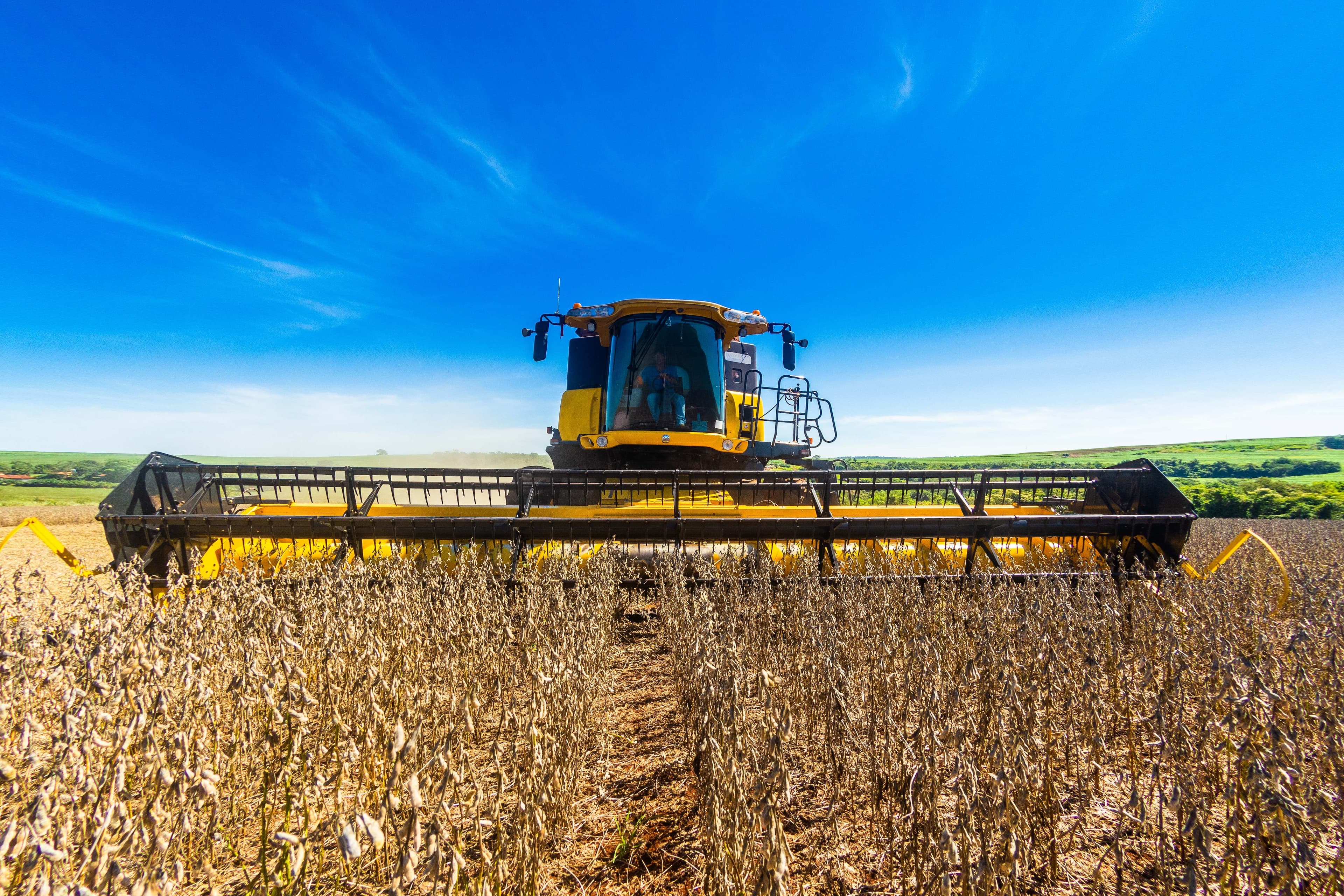 Preço da soja no Brasil apresenta leve alta, mas previsões continuam negativas