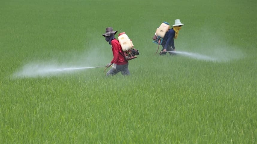 Veja como os vetos da lei aprovada pelo Congresso impactam o registro