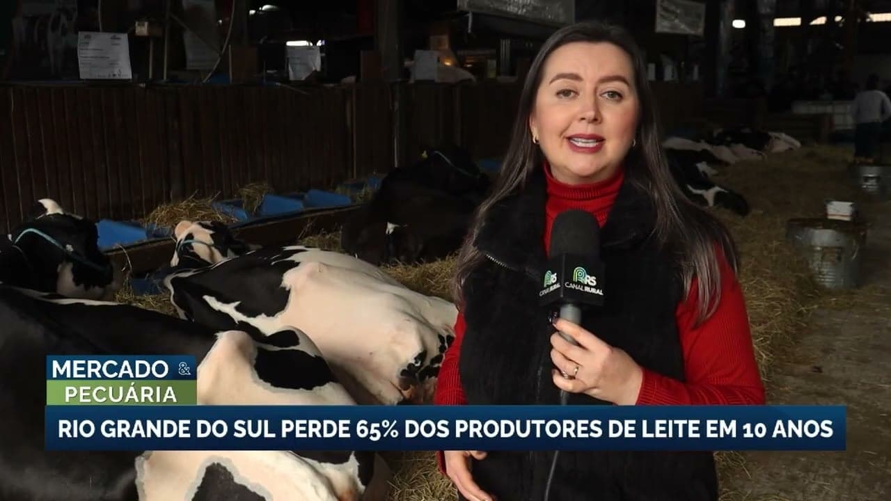 Rio Grande do Sul perde 65% dos produtores de leite em 10 anos