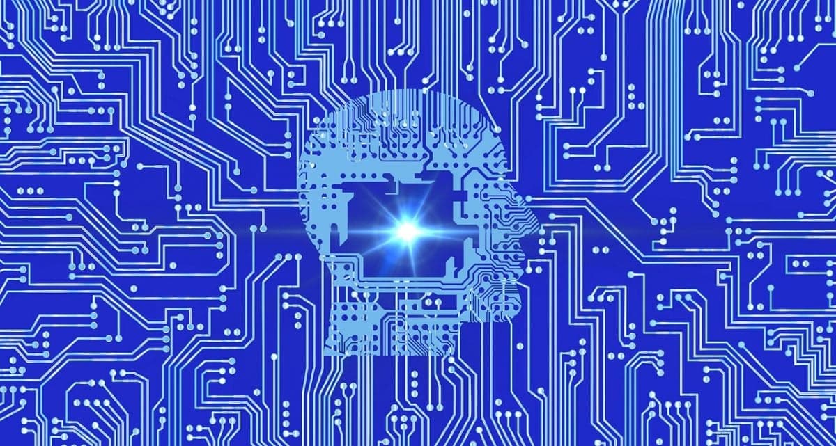 Desafios do Direito na Era Digital e a Precarização das Relações Humanas