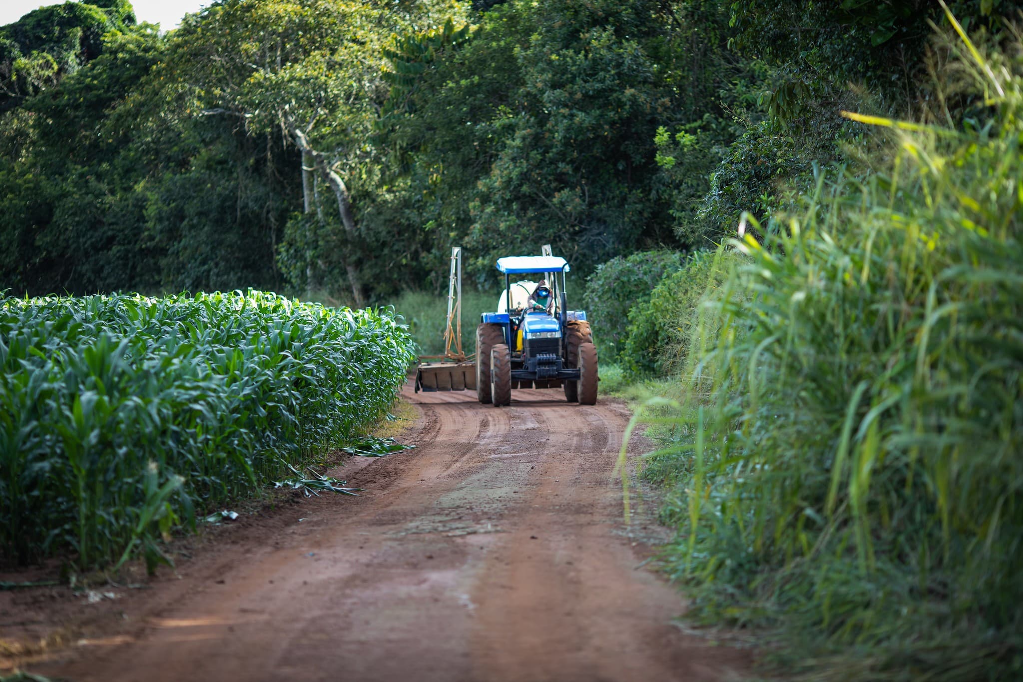 Ministério da Agricultura aguarda desbloqueio de R$ 461,7 milhões para seguro rural