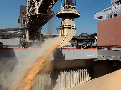 Exportações de soja do Brasil alcançam US$ 6,258 bilhões em junho
