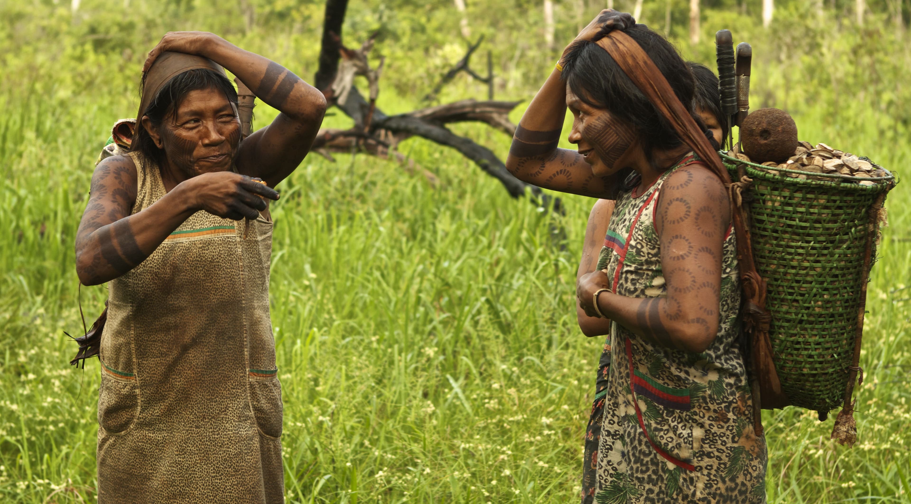 Conab destina R$ 23 milhões para alimentos indígenas em 2026