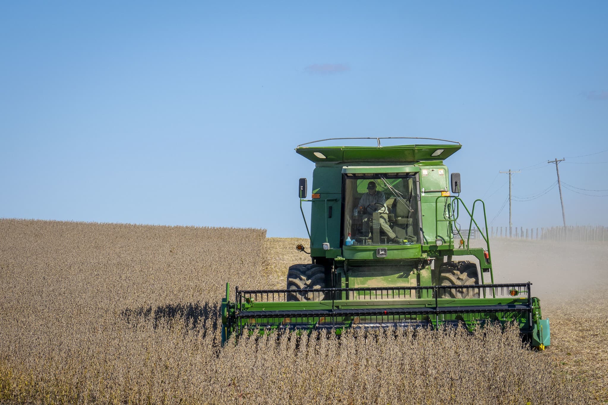 Soybean Prices Drop Amid Profit-Taking Ahead of USDA Report