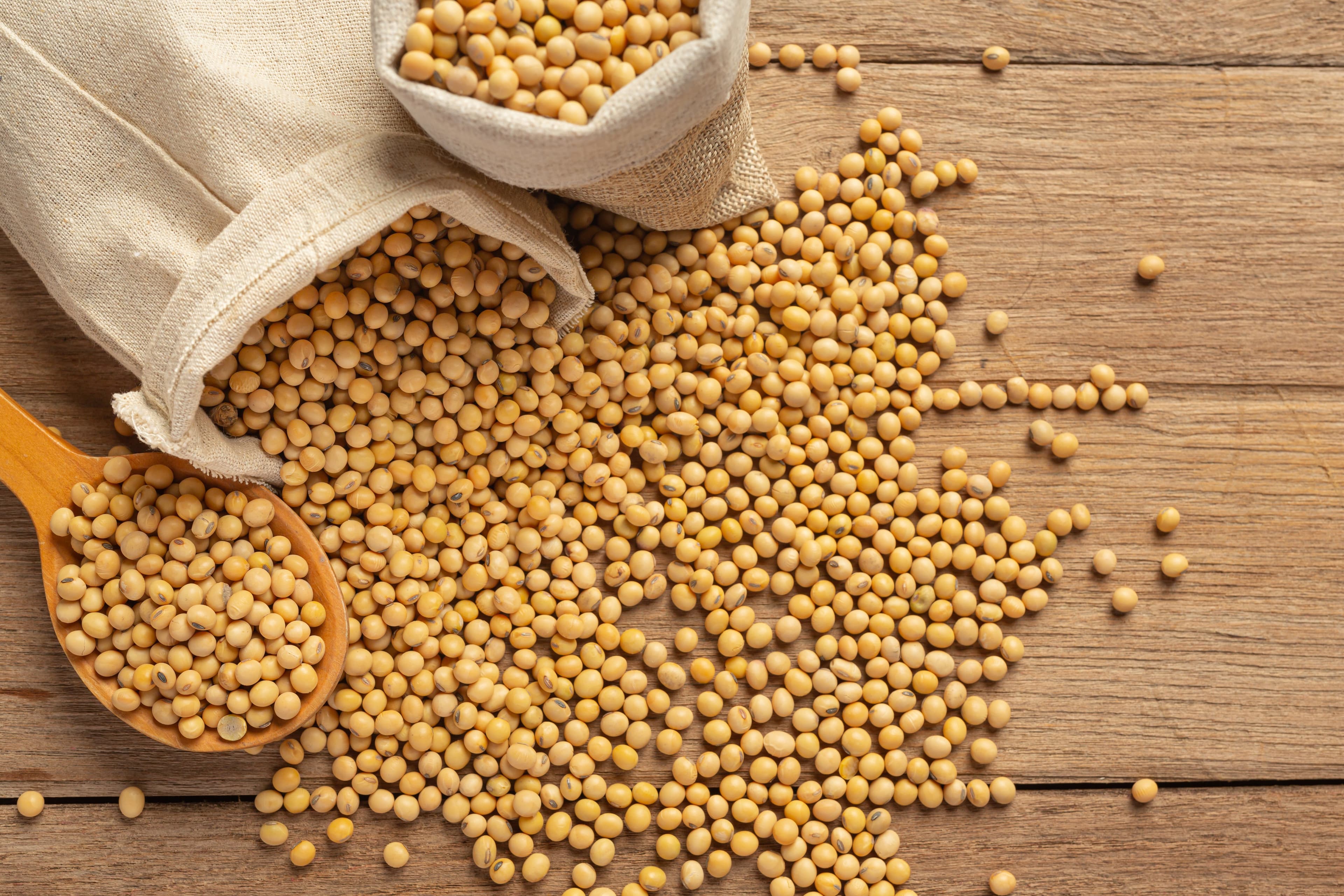 Soja Brasil traz novidades e dicas para produtores rurais