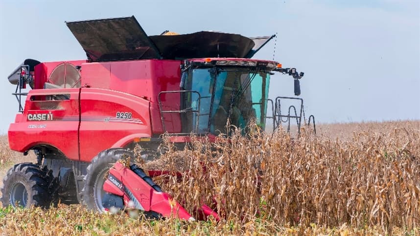 Colheita de milho avança de forma desigual em diversas regiões do Brasil