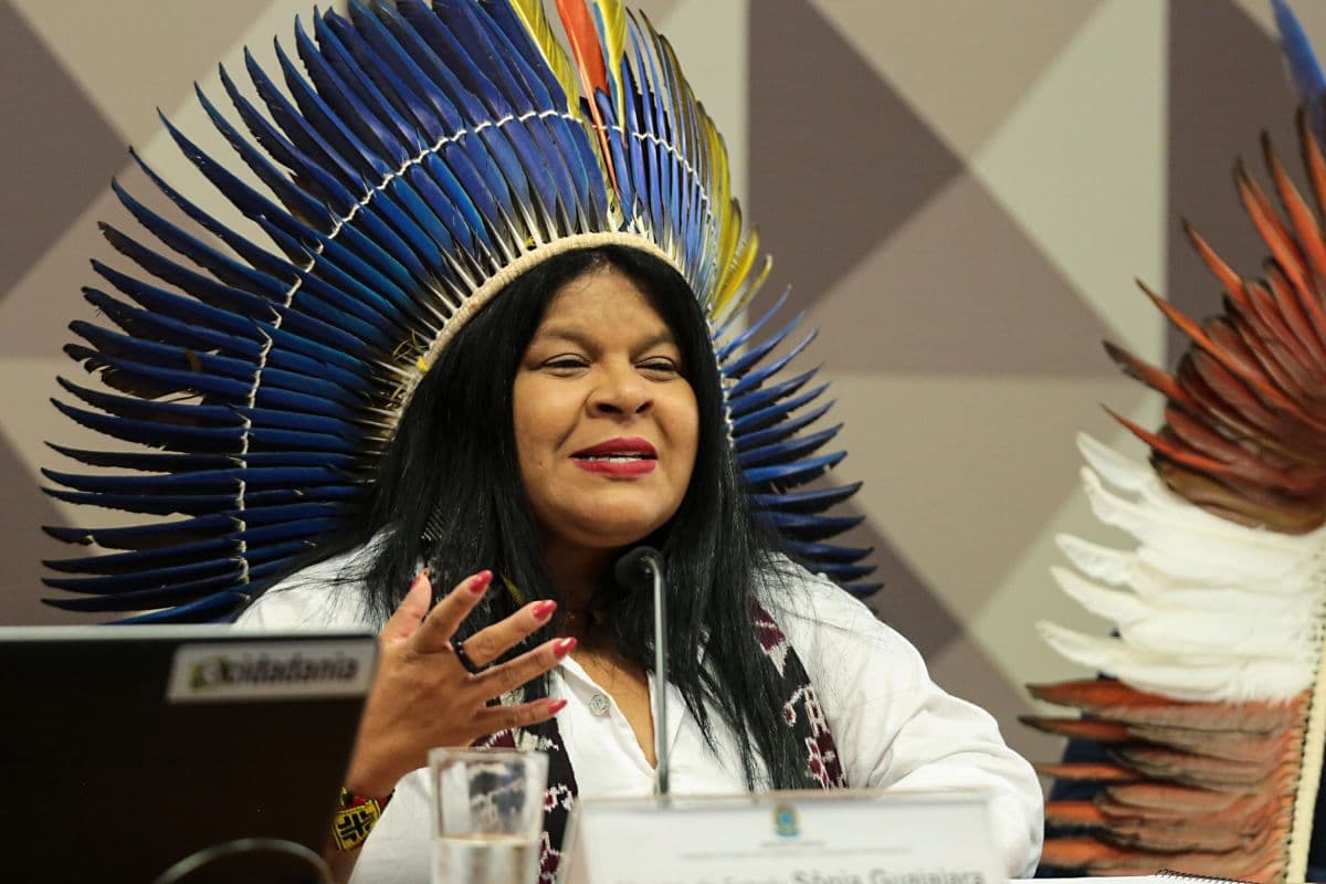 Sônia Guajajara Renuncia Cargo para Disputar Câmara Federal por São Paulo