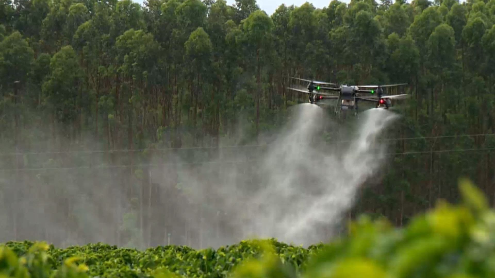 Comissão Europeia propõe mudanças nas regras de uso de pesticidas