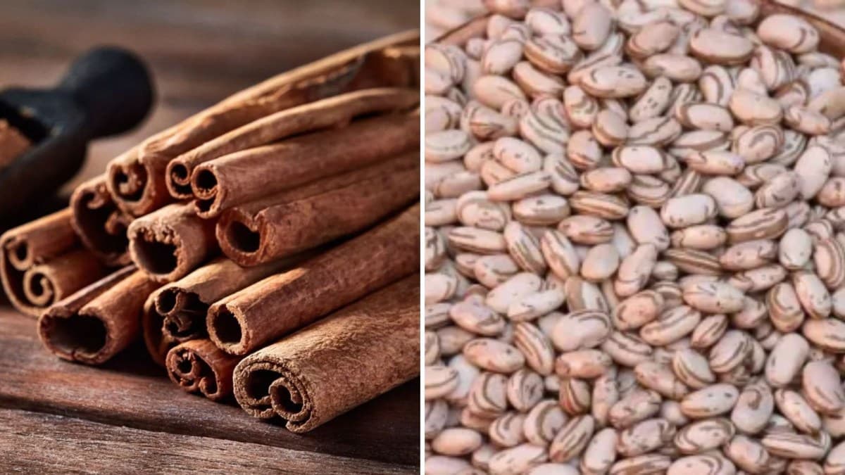 Canela e leguminosas ajudam a controlar açúcar no sangue