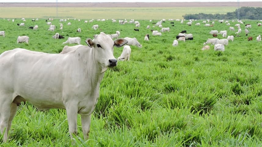 Brasil planeja mapear sistemas integrados de forma remota
