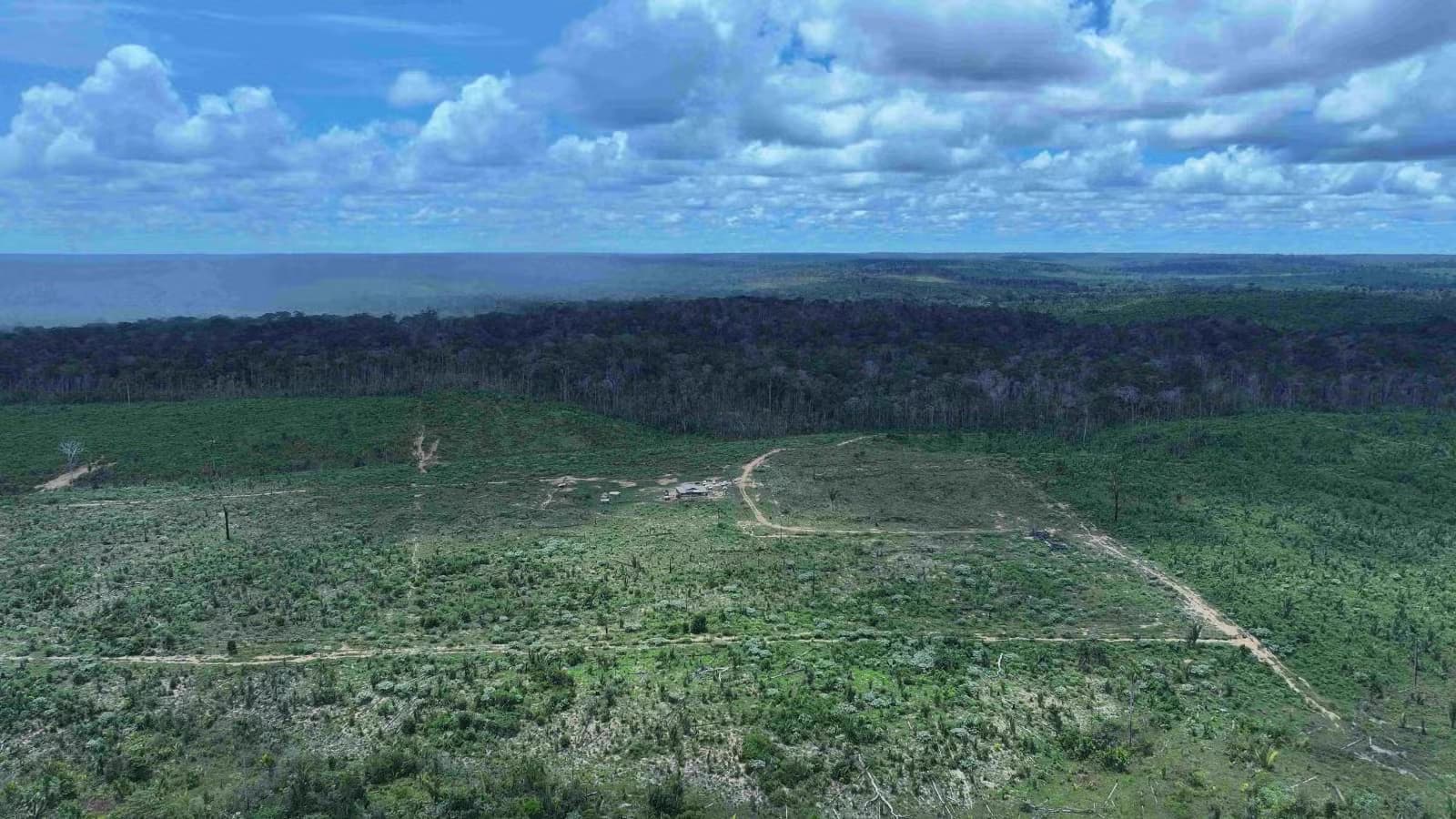 Câmara aprova projetos que comprometem proteção ambiental