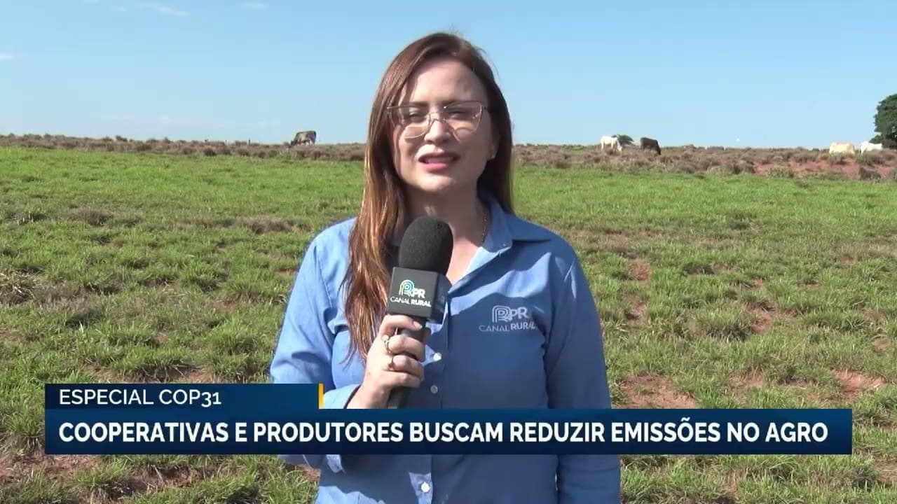 Cooperativas no Paraná adotam práticas sustentáveis para descarbonização