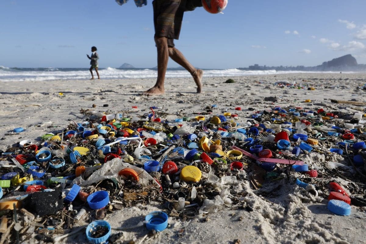 Estudo revela enzimas que aceleram biodegradação de plásticos nos oceanos