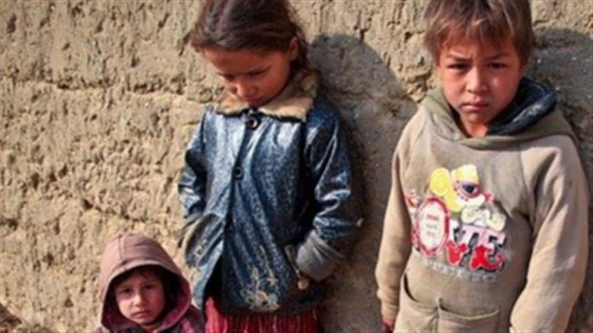 Trabalho em conjunto para combater a fome