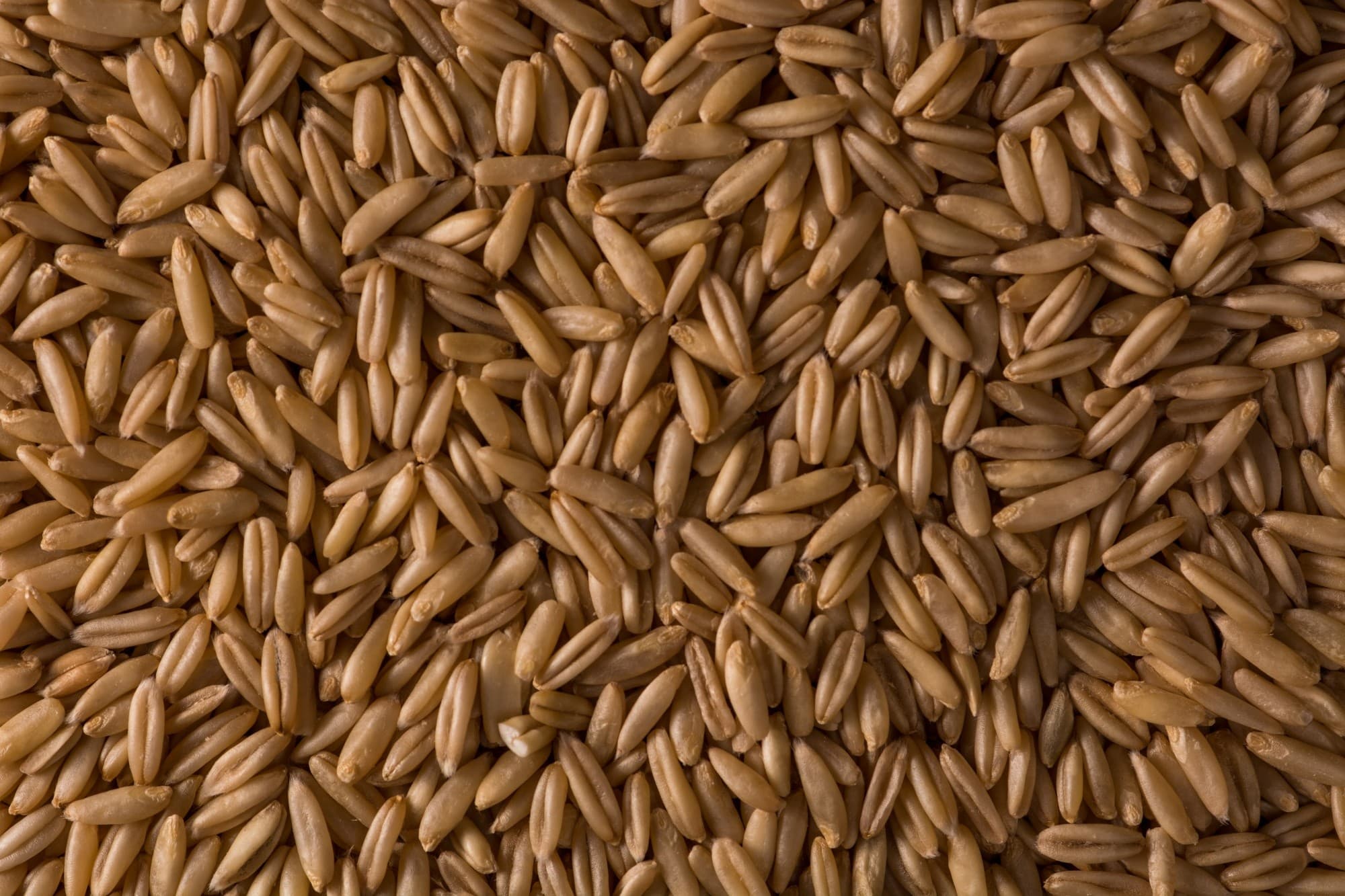 Preços do trigo sobem no Brasil apesar da queda externa