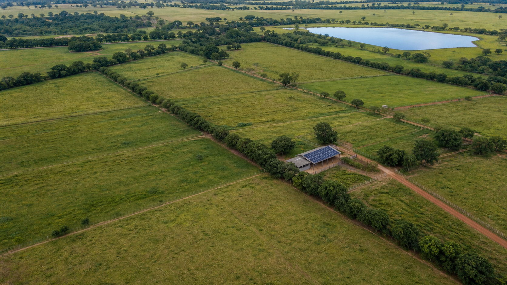 Pecuária de baixo carbono impulsiona competitividade da carne brasileira