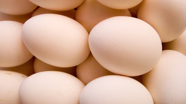 MPS Egg Farms retira do mercado 1,59 milhão de dúzias de ovos por Salmonella