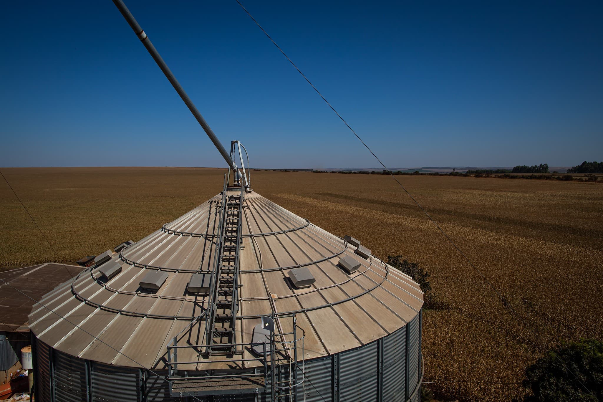 Produtores de milho pedem investimento em armazenagem e irrigação
