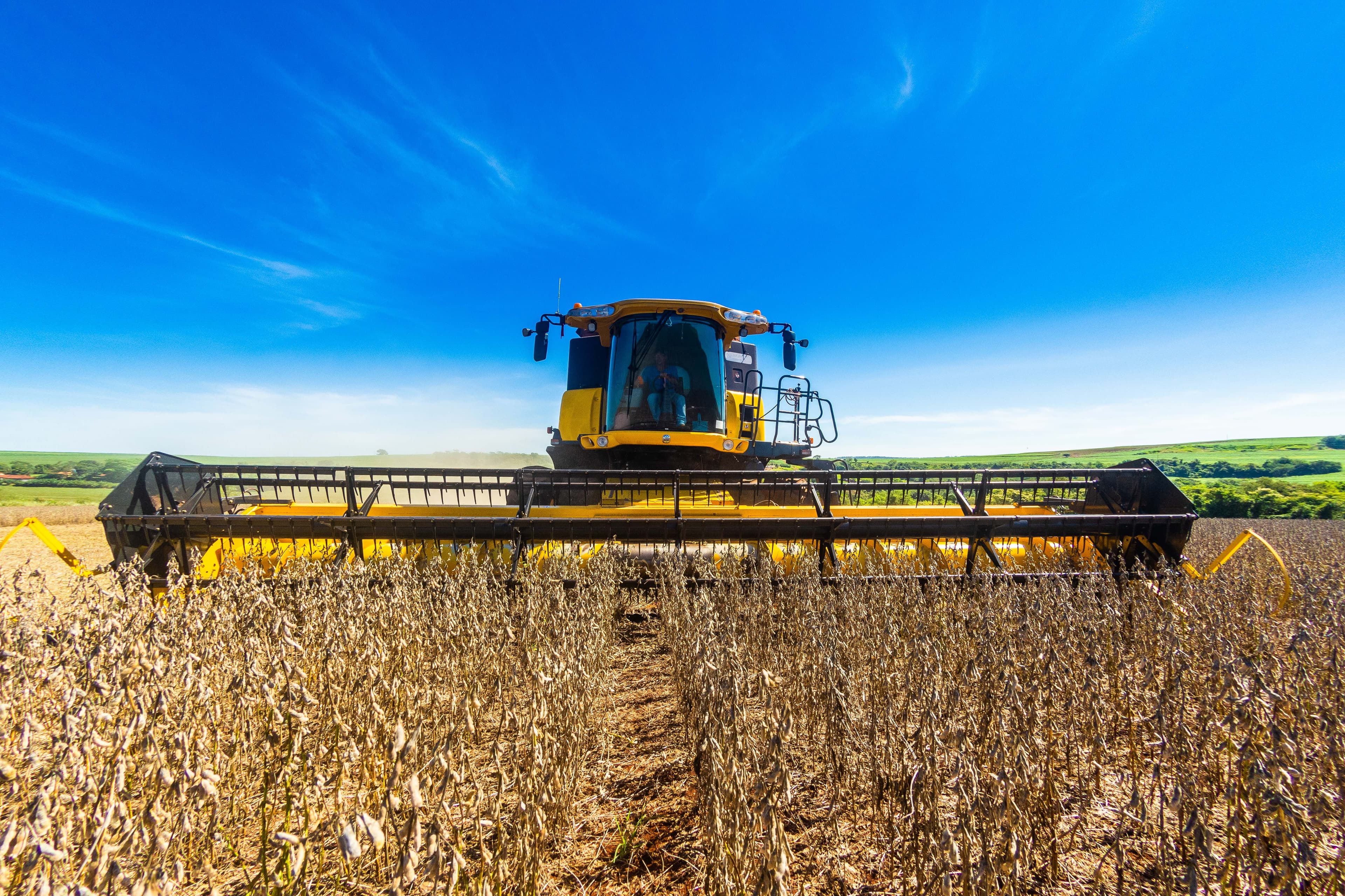 Banco do Brasil avalia cenário otimista para o agronegócio brasileiro