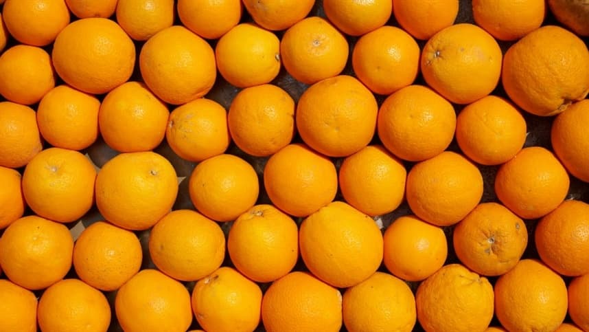 Mercado de laranja inicia 2026/27 com preços em queda
