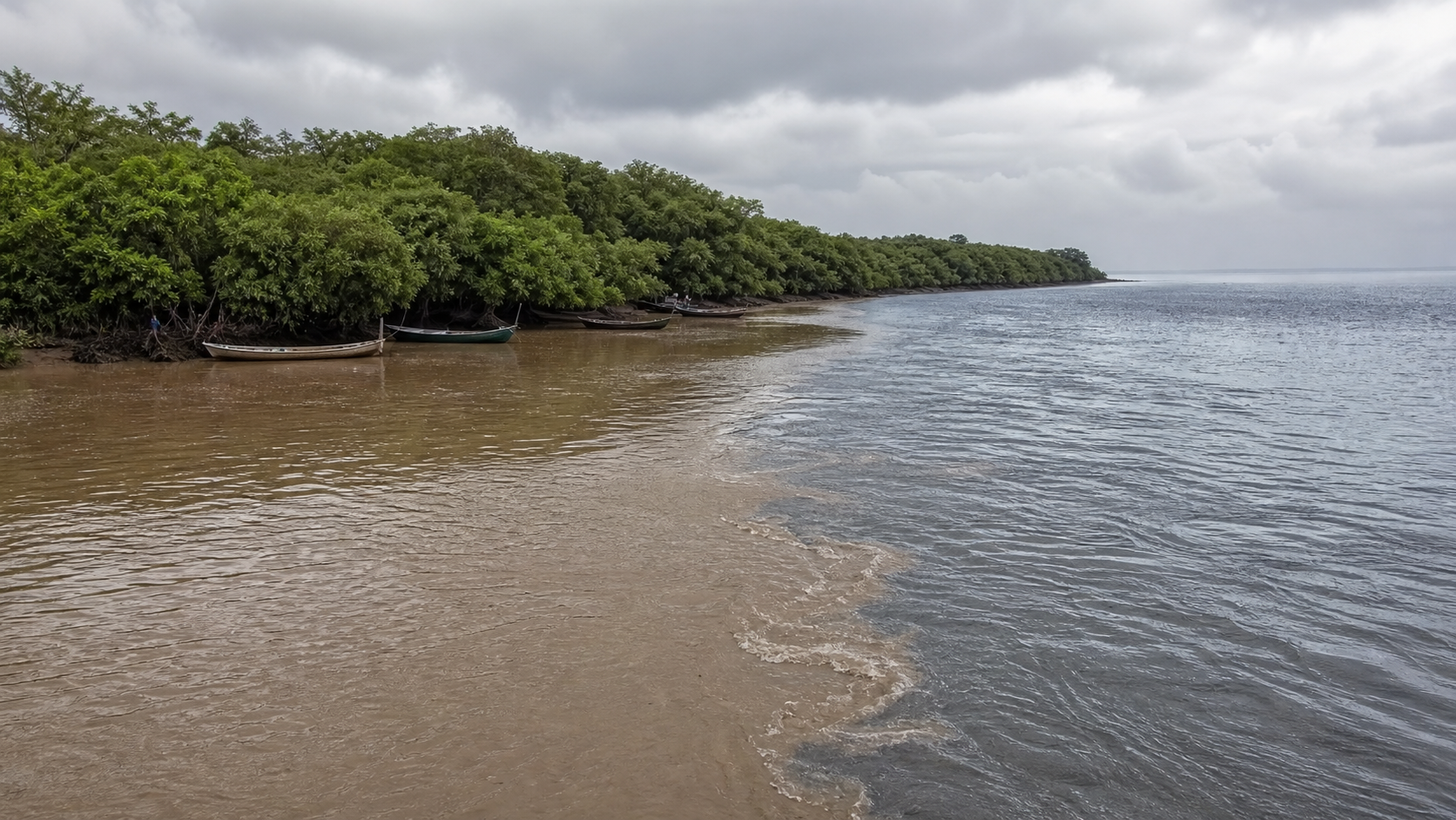 Audiência pública na Câmara aborda desastre da Barragem de Fundão