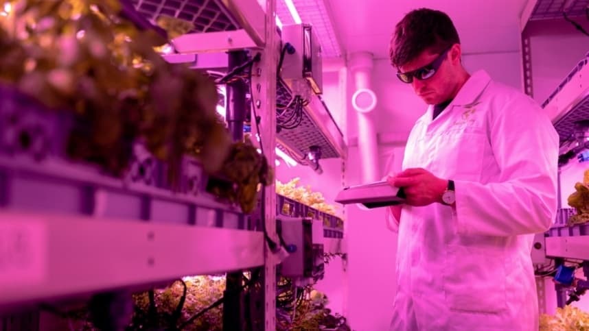 Avanços em biotecnologia prometem revolucionar a agricultura