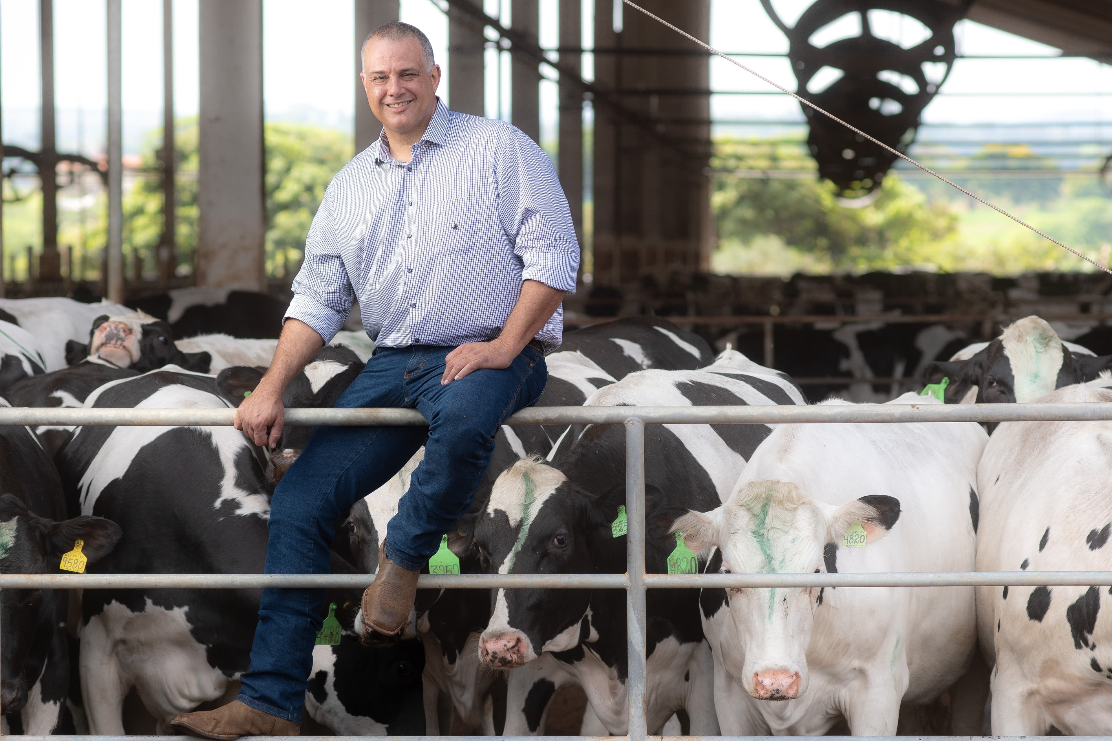 Fazenda São José aumenta produção de leite com foco em bem-estar animal