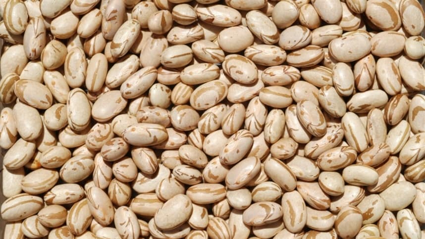 Preço do feijão tem aumento significativo nos últimos meses