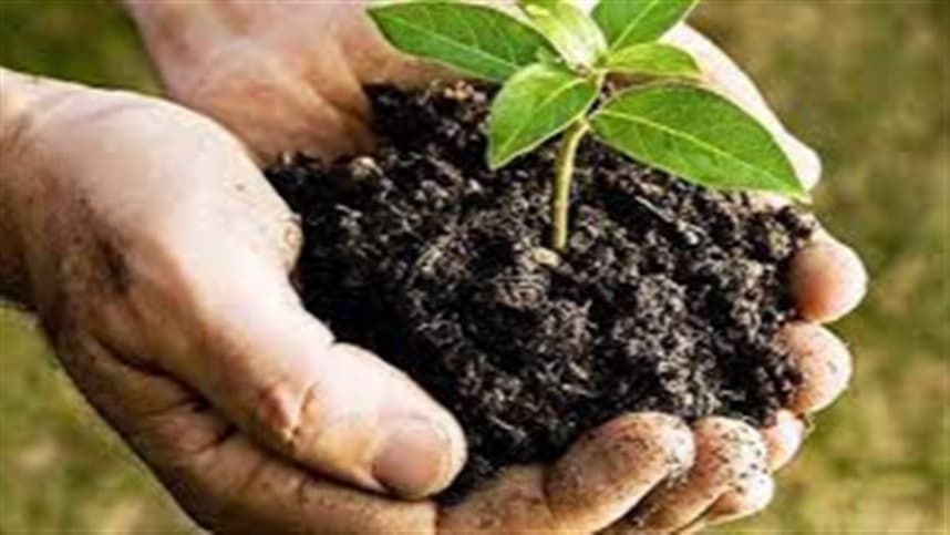 Bioinsumos prometem R$ 15,8 bilhões ao PIB da agricultura brasileira