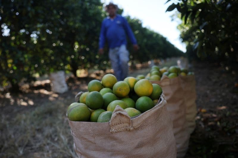 Agronegócio aplaude aprovação da Lei dos Safristas