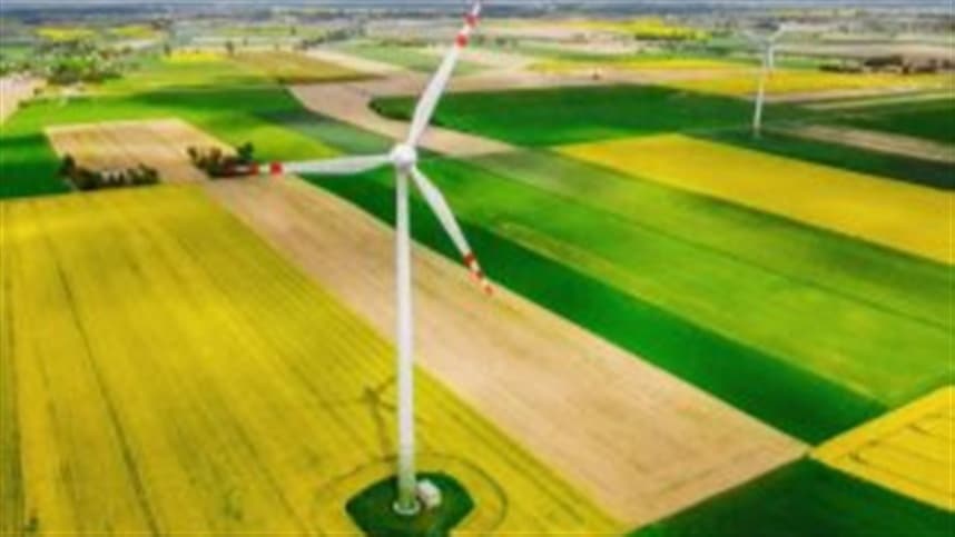 Lançado novo produto de crédito de carbono