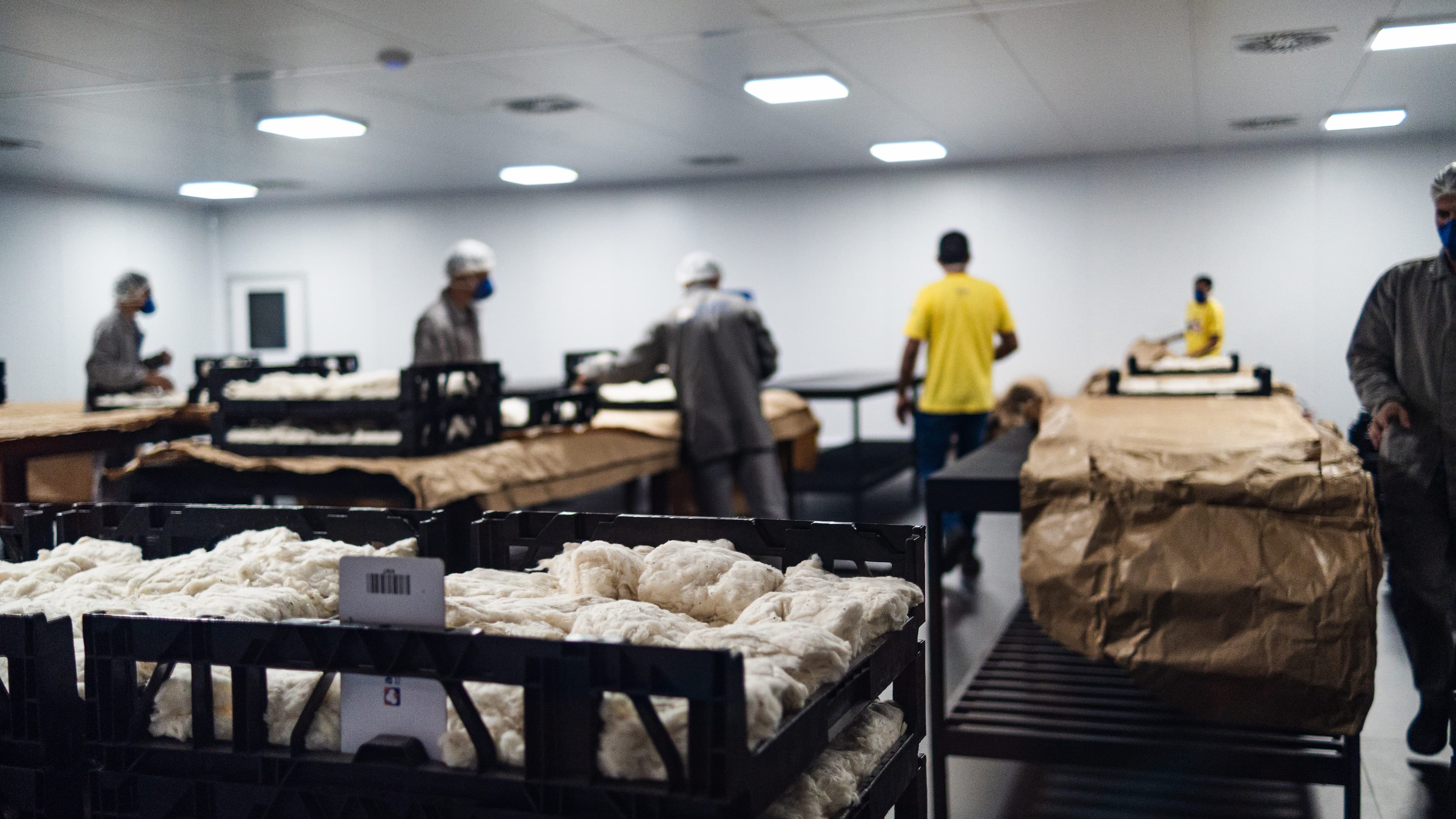 Centro de Análise de Algodão na Bahia eleva padrão de qualidade