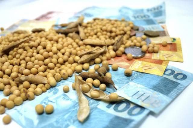 Mercado da soja começa a semana em alta no Brasil e em Chicago