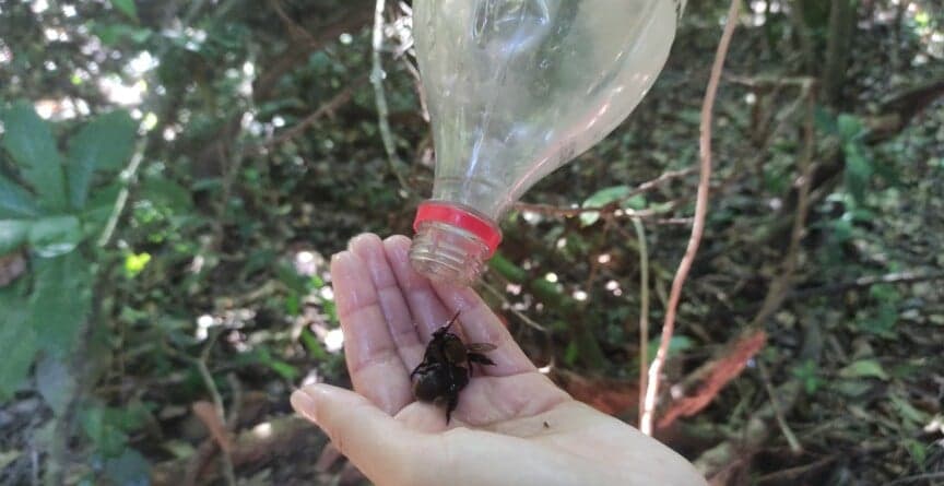 Estudo revela desequilíbrio ecológico após rompimento de barragem em Mariana