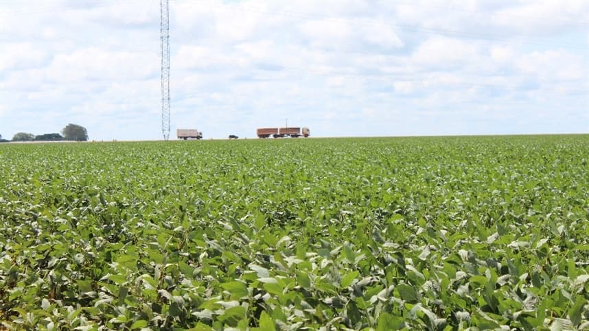 Pavimentação em estrada rural impulsiona desenvolvimento do agronegócio
