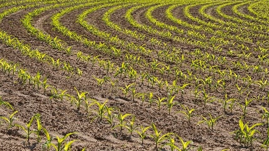 Usinas de etanol de milho impulsionam lucratividade em Mato Grosso