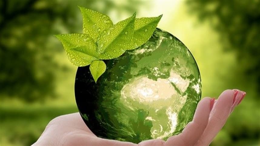 A importância do apoio governamental no avanço da sustentabilidade