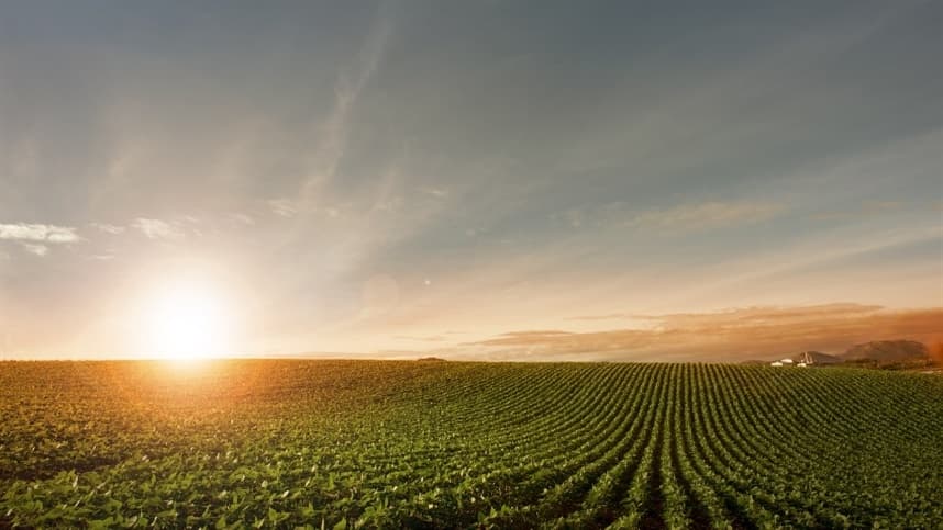 Instabilidade climática ameaça produção agrícola no Brasil