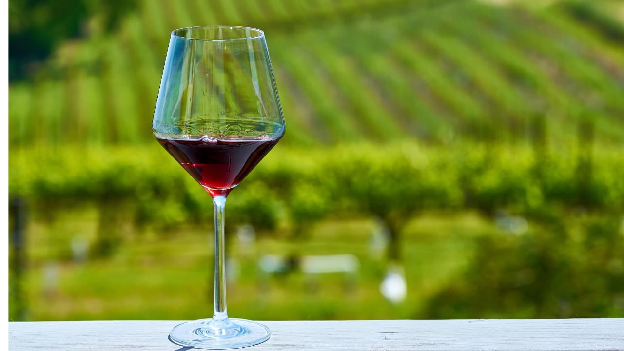 Produção de vinho na França atinge menor nível em 30 anos