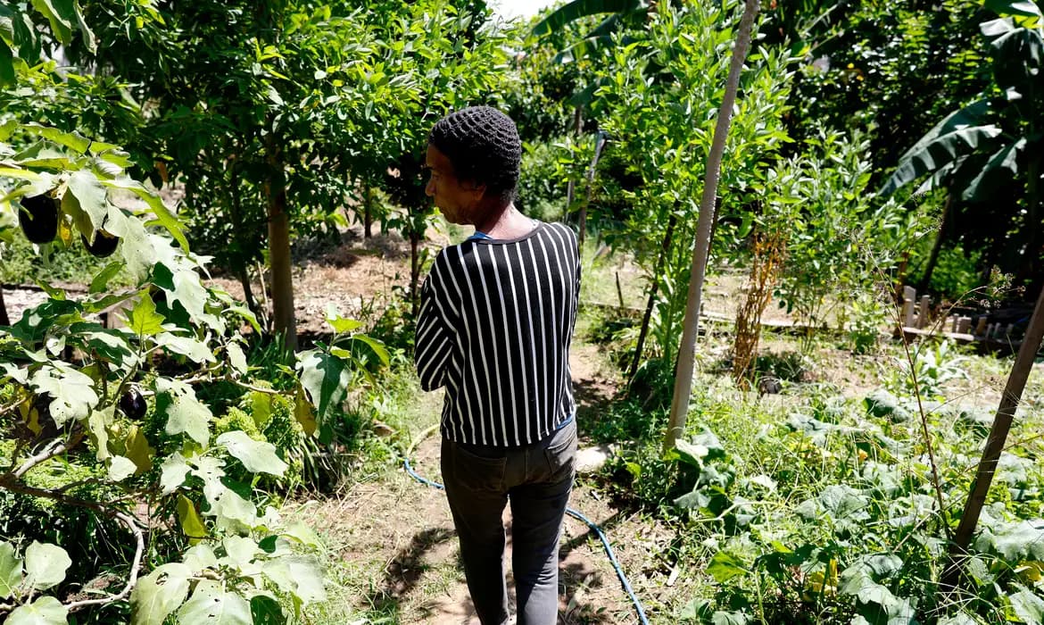 Morro do Salgueiro: Horta Comunitária Revitaliza Tradições e Gera Renda