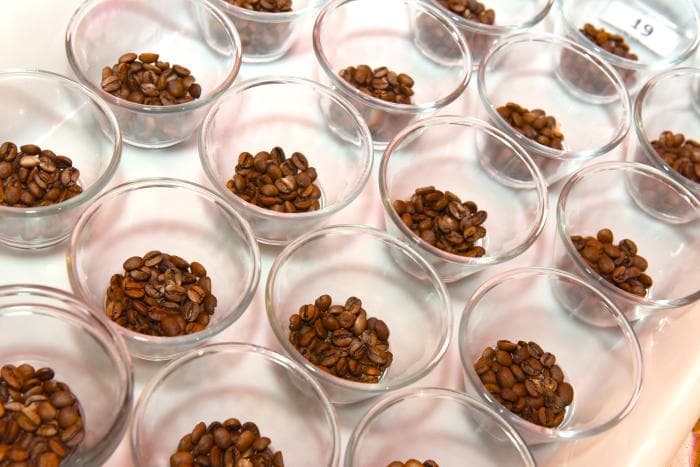 Concurso de Qualidade dos Cafés de Minas Gerais registra recorde de amostras