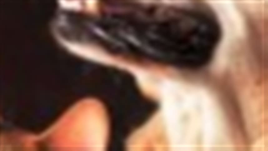 Regulamentação solicitada por médicos veterinários para o transporte de animais