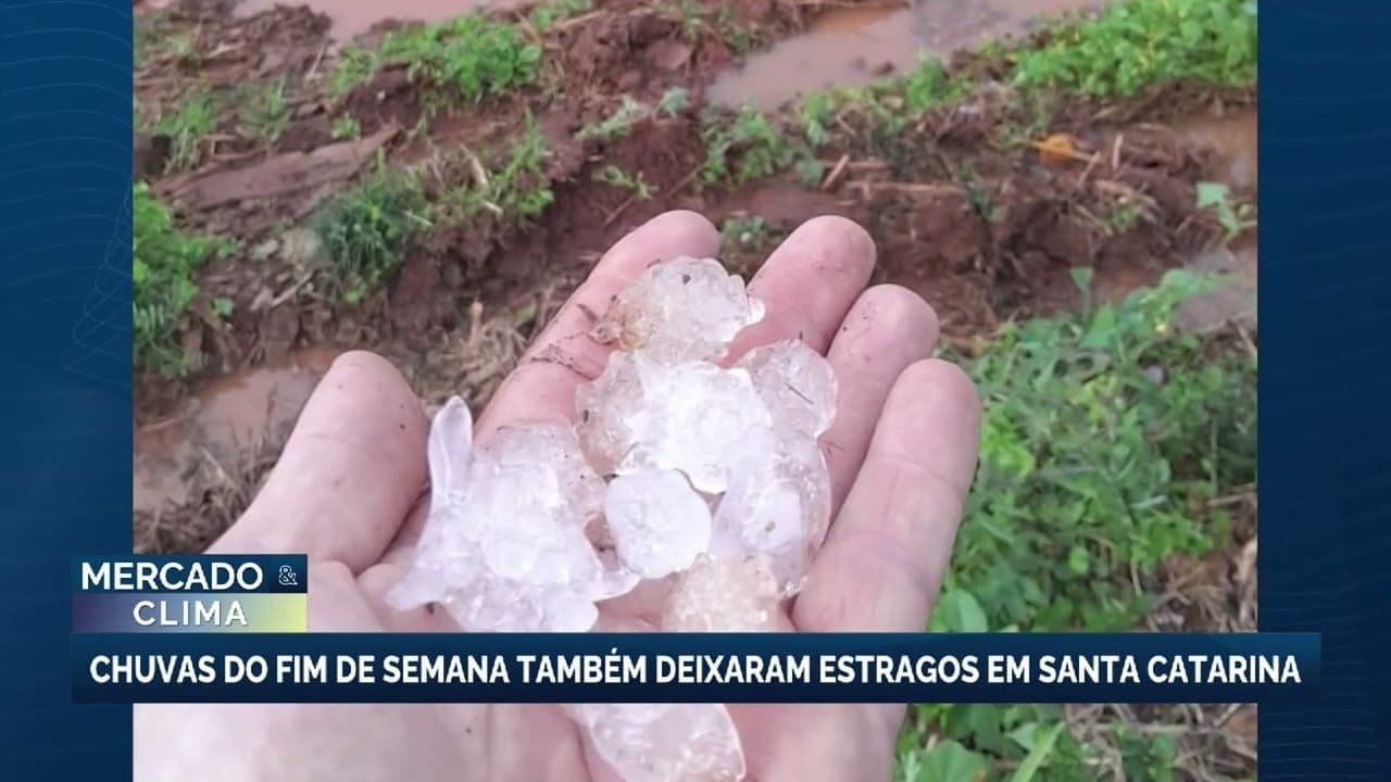 Chuvas devastadoras em SC e RS causam mortes e destruição