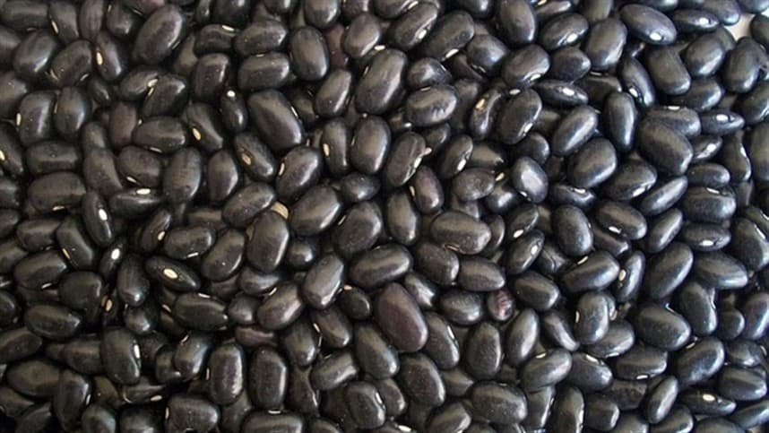 Feijão caupi e açaí são beneficiados com o bônus da PGPAF em abril