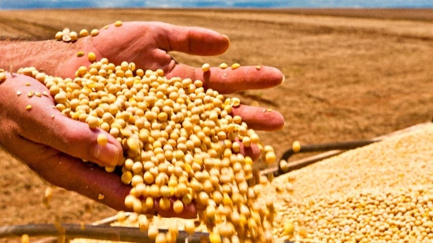 Soja tem leve alta no mercado internacional, mas desafios persistem