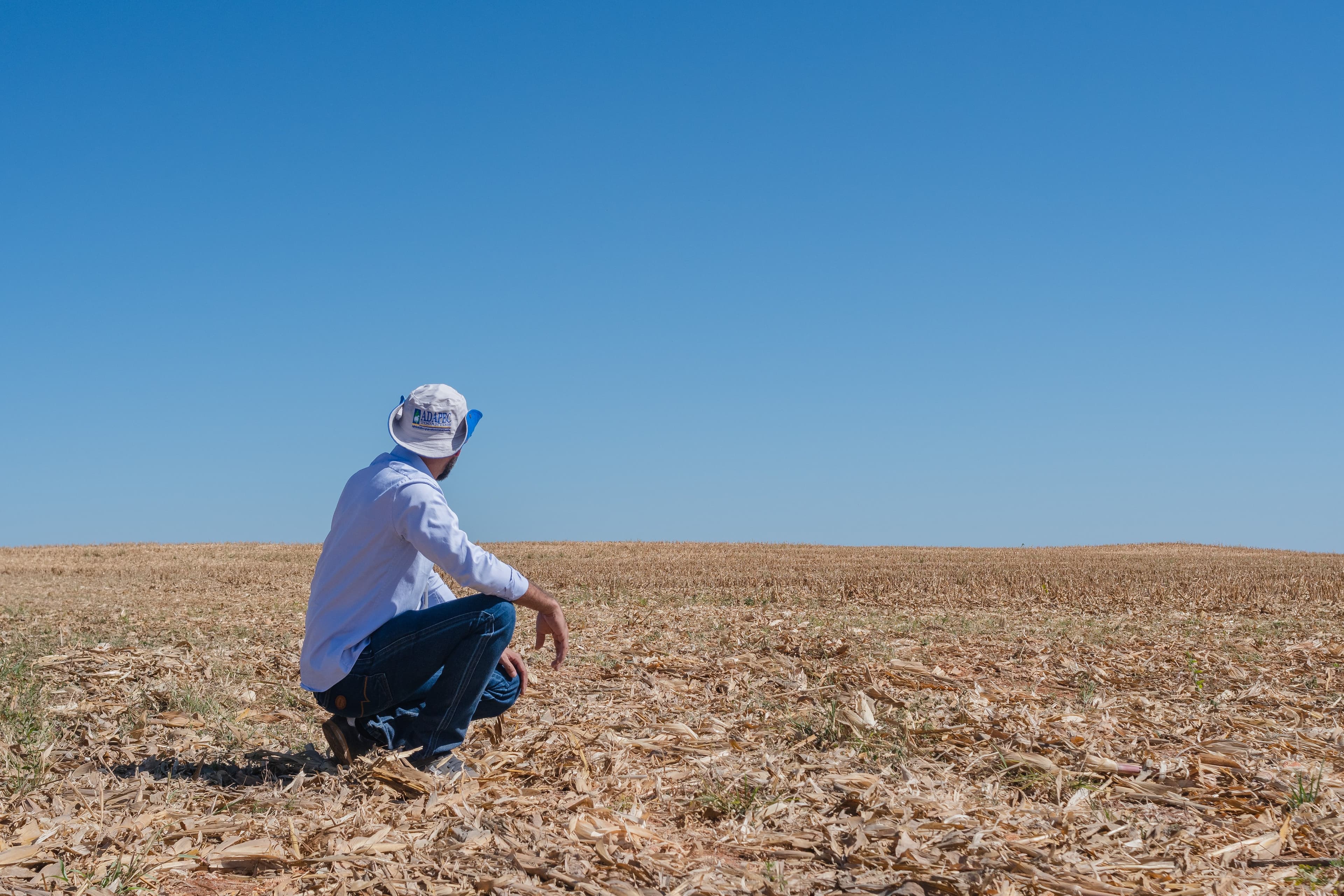 CNA destaca manejo da soja após regras de vazio sanitário
